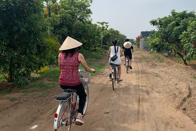 1-Day Explore Non-Touristy Side Of Mekong Delta- Group 10 Max - Sampan Rowing Under Nipa Palms