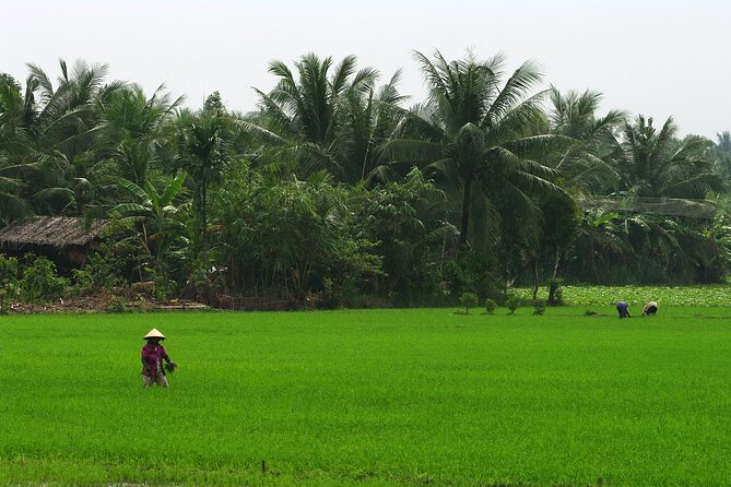Adventure Cu Chi Tunnels and Mekong Delta Tour From HCM - Price and value: why $29 can make sense here