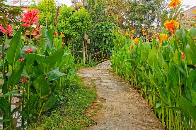 Cai Be Village - One-Day Mekong Delta Adventure - Honey kumquat tea, fruit tastings, and local folk music