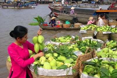 Cai Rang Floating Market & Mekong Delta Private 1-Day Tour - From boat to bike: the village side of the Mekong