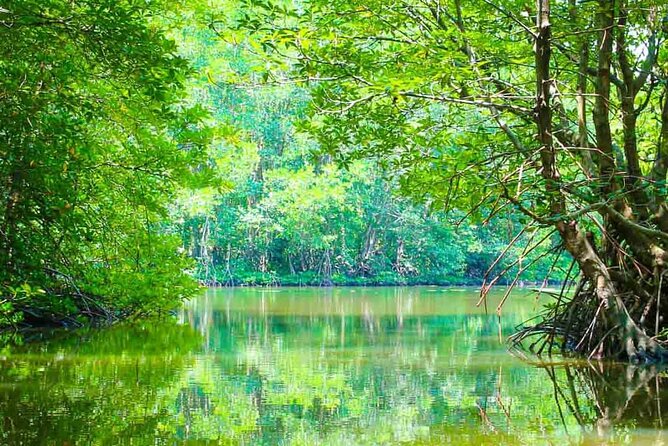 Can Gio Mangrove Forest 1 day tour - Key Highlights You’ll Remember