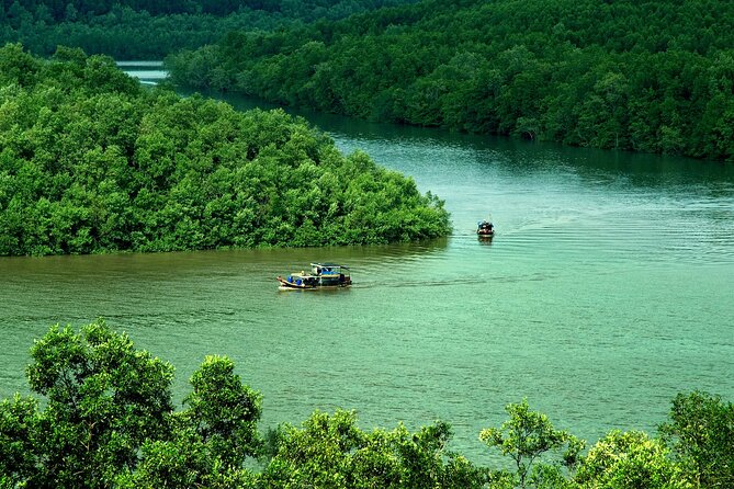 Can Gio Mangrove Forest 1 day tour - A $55 Day Out: Where the Value Really Shows
