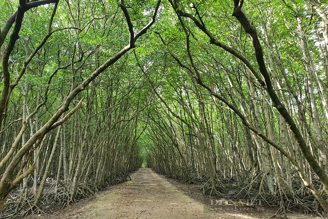 Can Gio Mangrove Forest 1 day tour - Lunch at a Local Mekong-Style Restaurant: Simple, Included, and Usually a Hit