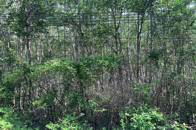 Can Gio Mangroves - Monkey Island by Motorbike and Scooter - Price and logistics: what $65 buys you and where you may spend extra