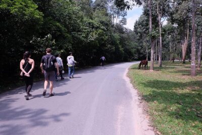 Cu Chi Tunnels By Motorbike and Scooter - Motorbike Transfer From Central HCMC: The Ride, the Gear, the Pace
