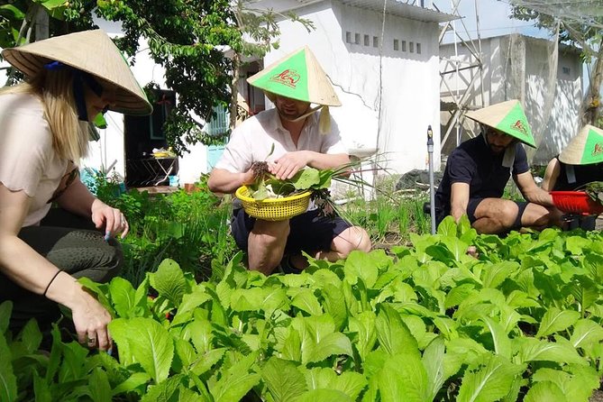 Explore Vietnamese Cuisine: Cooking Class from Ho Chi Minh City - Certificate and Recipes: Turning a Great Day Into Repeatable Skills