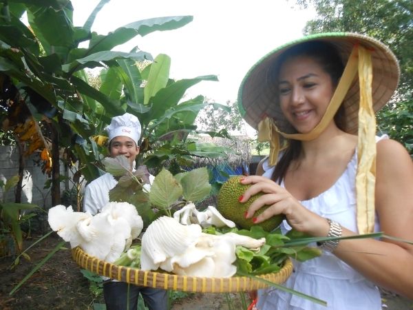 Farm-To-Table Healthy Cooking Class: Half-Day Tour - Organic Gardens and the Vietnamese Medicine Garden: Herbs With Real Uses