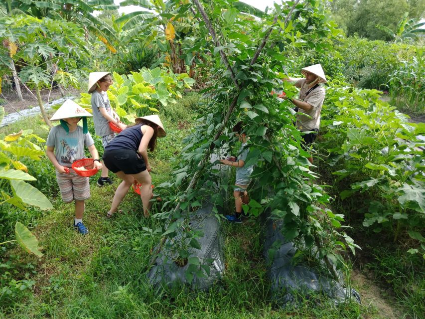 Farm-To-Table Healthy Cooking Class: Half-Day Tour - The Cooking Portion: Traditional Healthy Vietnamese Dishes, Taught Step-by-Step