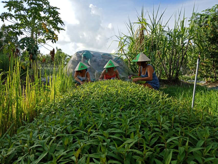 Farm-To-Table Healthy Cooking Class: Half-Day Tour - Mushroom House Walkthrough: Learning Varieties Before You Cook Them