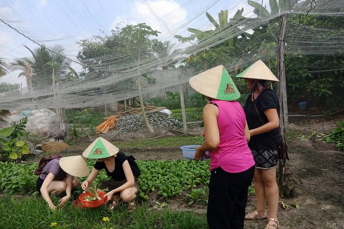 Farm-To-Table Healthy Cooking Class in Ho Chi Minh City - The meal: lunch, tastings, and eating what you made