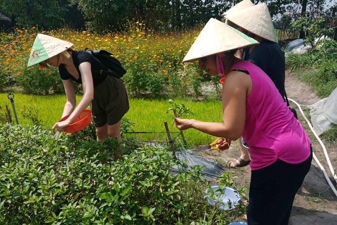 Farm-To-Table Healthy Cooking Class in Ho Chi Minh City - Certificates and recipes: the part that helps after you get home