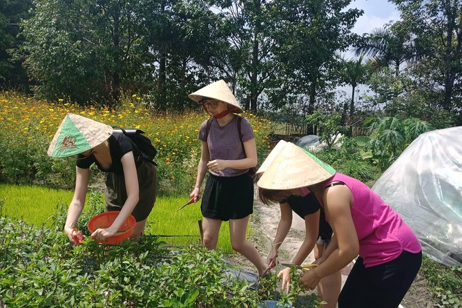 Farm-To-Table Healthy Cooking Class in Ho Chi Minh City - Price check: is $67 good value for what you get?