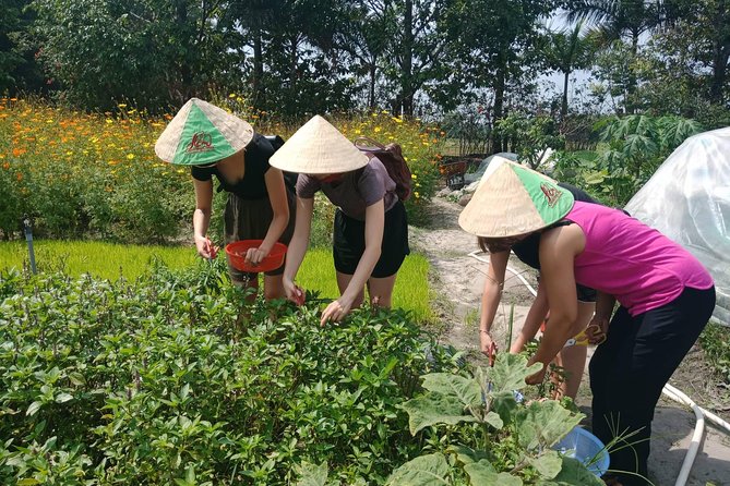 Farm-To-Table Healthy Cooking Class in Ho Chi Minh City - The organic farm walk: animals, herbs, and the scissors moment