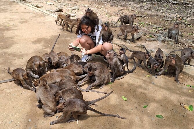 From Ho Chi Minh: Can Gio Trek – Monkey Island & Crocodile Farm - Monkey Island: the real wildlife show (and the real test of your patience)