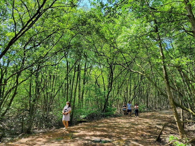 From Ho Chi Minh City: Can Gio Mangrove & Monkey Island Trek - Can Gio Mangrove Biosphere Reserve: More Than a Scenic Walk
