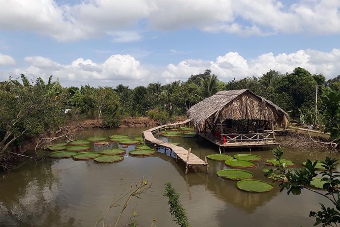 Full-day Cai Rang floating market - explore countryside, make bakery - from HCM - Rice noodle and pho factory: watching food get made for real