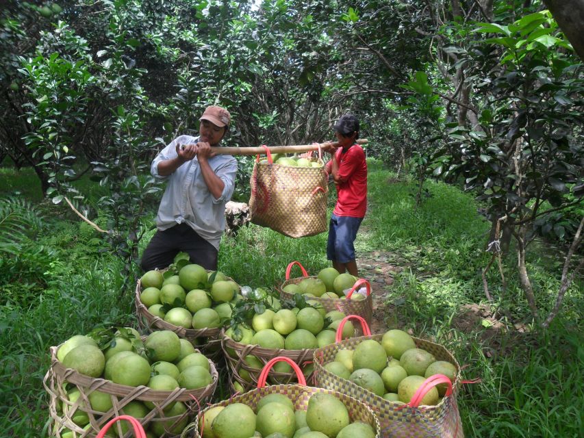 HCMC: Cai Rang Floating Market & Mekong Delta Private Tour - Who should book this private Mekong Delta day?