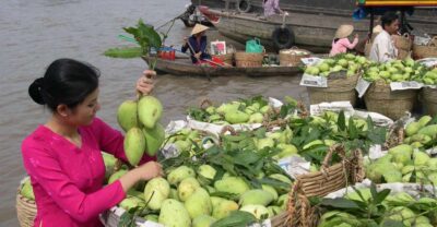 HCMC: Cai Rang Floating Market & Mekong Delta Private Tour - Cai Rang Floating Market: boats, bartering, and a quick food break
