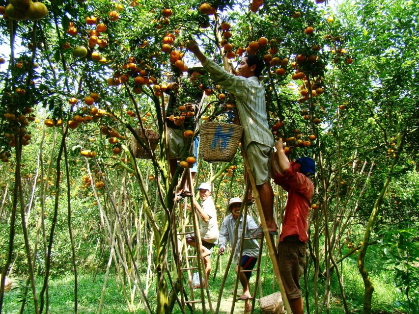 HCMC: Cai Rang Floating Market & Mekong Delta Private Tour - Price and value at $140 per person: private, but what are you buying?