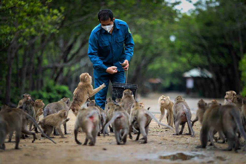 HCM:Can Gio Mangrove Forest Tour-Monkey Island - Leaving Ho Chi Minh City early: timing that actually works
