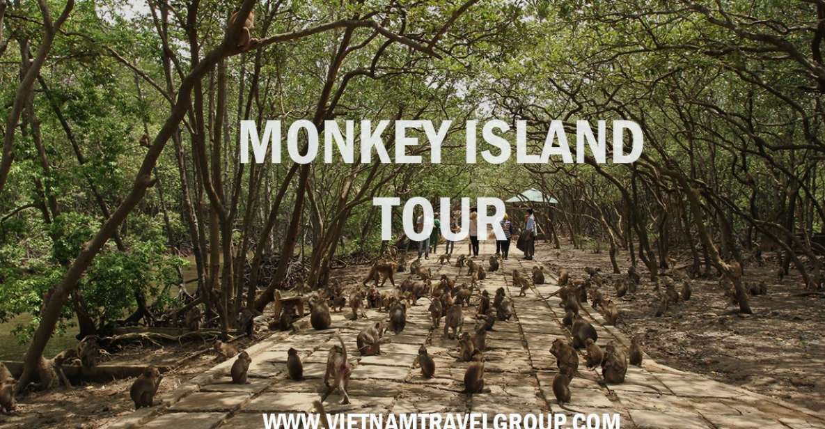 HCM:Can Gio Mangrove Forest Tour-Monkey Island - Crocodile Farm: up-close reptiles, and the “action level” varies