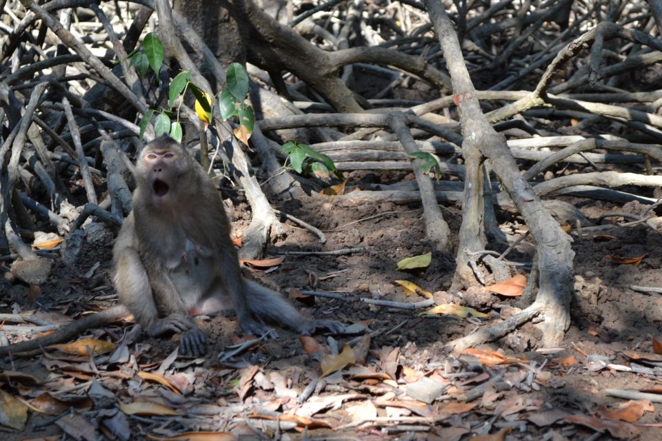HCM:Can Gio Mangrove Forest Tour-Monkey Island - Optional market stop and the ride back to District 1