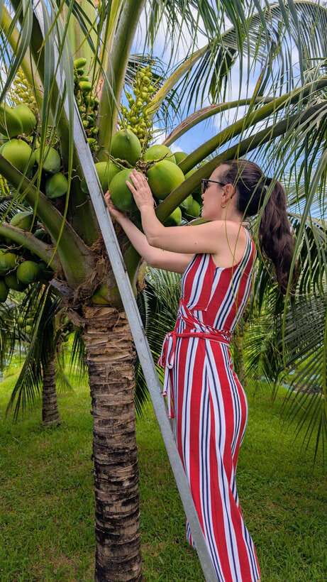 Ho Chi Minh: 1-Day Mekong Delta Tour-Floating Market & Islet - Timing and logistics: what the schedule feels like in real life