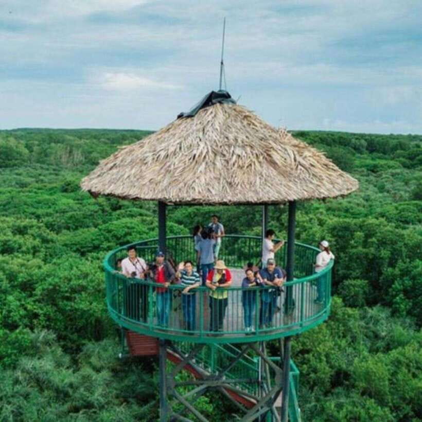 Ho Chi Minh: Can Gio Mangrove and Monkey Island - Key highlights you should care about