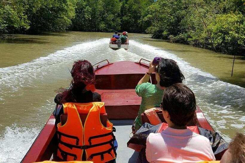 Ho Chi Minh: Can Gio Mangrove and Monkey Island - The Sac guerrilla camp: a jungle walk with real wartime gravity