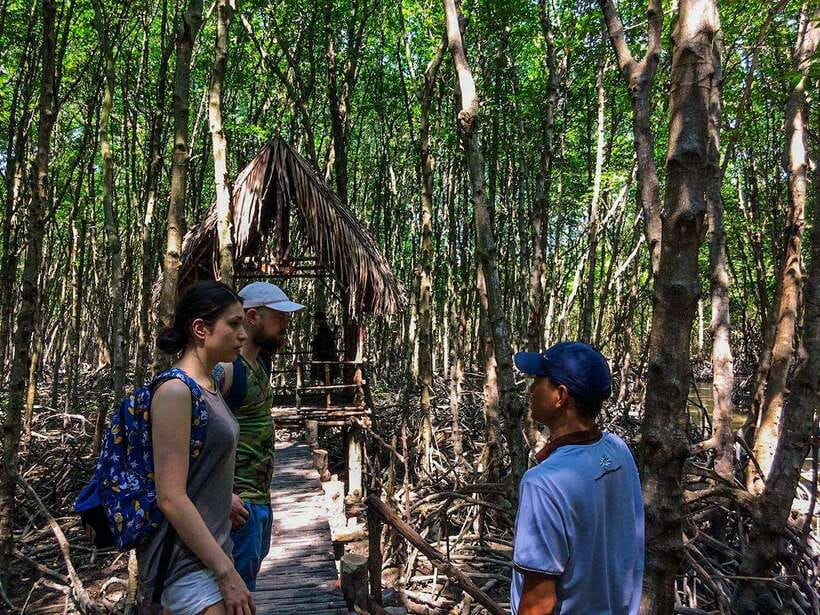 Ho Chi Minh City: Can Gio Eco Escape And Wildlife Discovery - Tang Bồng Tower: the 26-meter payoff view