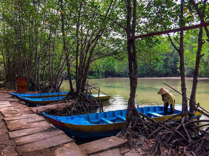 Ho Chi Minh City: Can Gio Eco Escape And Wildlife Discovery - Monkey Island and the conservation side of Can Gio