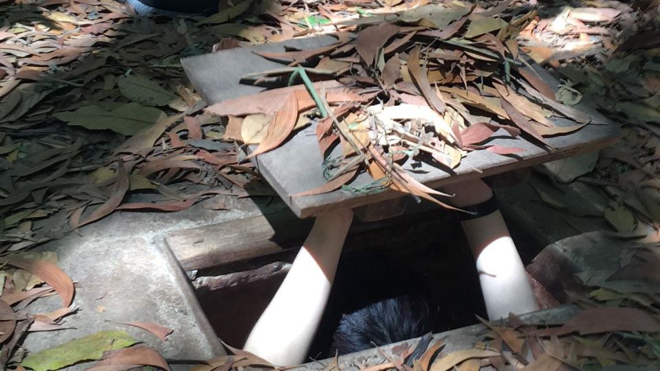 Ho Chi Minh City: Cu Chi Tunnels and Gun Shooting Experience - Should you book the Cu Chi Tunnels and gun shooting experience?