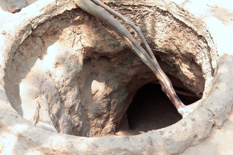 Ho Chi Minh City: Cu Chi Tunnels Morning or Afternoon Tour - Transport back to District 1: what the return day feels like