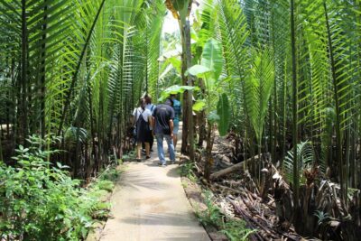 Ho Chi Minh City: Discover Mekong Delta & Coconut Village - Hotel Pickup and the Air-Conditioned Run Out of Ho Chi Minh City