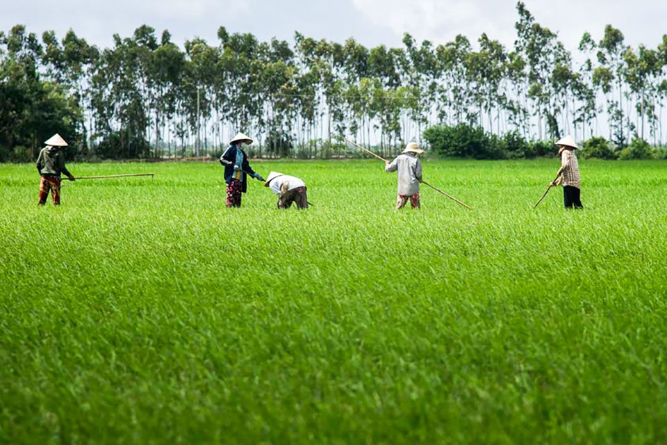 Ho Chi Minh City: Mekong Delta Full-Day Speedboat Tour - Thủ Thừa District: wine tasting and a short walk