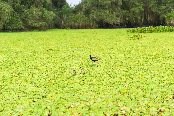 Mekong Delta 3-Day: Saigon to Phnom Penh Gateway - Price and what you actually get for $261