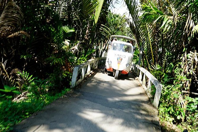 Mekong Delta and Ho Chi Minh City Private Tour Full Day - Ben Tre coconut candy and why it fits the route