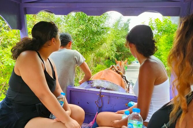 Mekong Delta Tour Daily - Cruise the Mekong toward Ben Tre: fish farms, stilt houses, and canal quiet