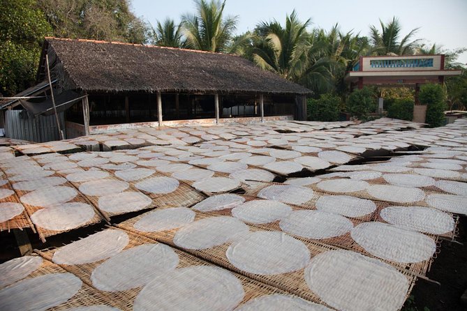 Mekong Delta Tour Full Day Cai Be-Vinh Long - Who should book this Mekong Delta full day Cai Be–Vinh Long tour
