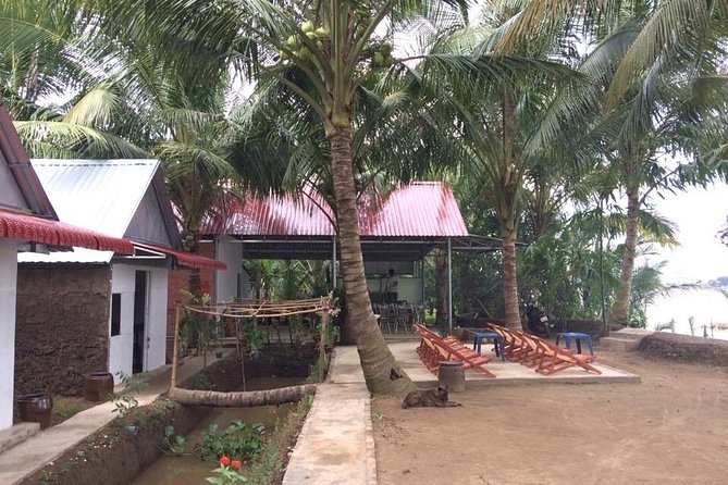 Mekong Delta Tour with Kayaking, Cycling and Cooking - Bee Farm and Coconut Candy: Local Food Culture Beyond the Main Stops
