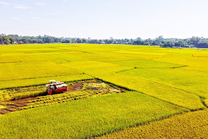 Standard 1 Day Cu Chi Tunnels & Mekong Delta - Rubber plantation and the “in-between” stops that make the day feel real