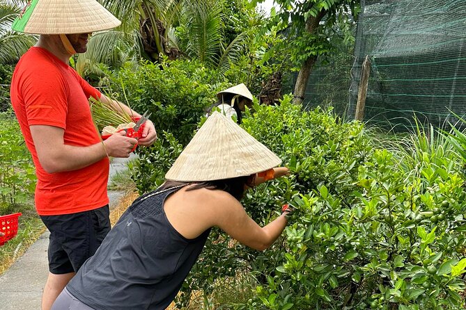 Unique Farm to Table Cooking Class with Top Chef in Vietnam - Teaching style that helps you repeat at home